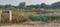 Devdholera Plot View 2