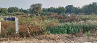Devdholera Plot View 2