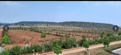 Image of 183 Sq.ft Residential Plot / Land for sale in Swathi Sree Shankarpalli Hill III, Shankarpally, Hyderabad for Rs. 2500000