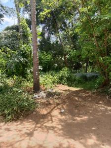Image of 2178 Sq.ft Residential Plot / Land for sale in Minalur, Thrissur for Rs. 250000