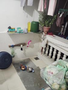 Image of 498 Sq.ft 2 BHK Apartment / Flat for rent in Thakkarbapa Nagar, Ahmedabad for Rs. 10000