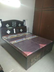 Bedroom Image of 2250 Sq.ft 3 BHK Builder Floor for rent in Sector 10 Panchkula for Rs. 30000
