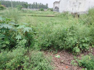 Image of 2152 Sq.ft Residential Plot / Land for sale in Chhoti Vihar, Bareilly for Rs. 3200000