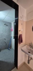 Image of 688 Sq.ft 1 BHK Apartment / Flat for rent in Shapoorji Pallonji Joyville Hinjawadi, Hinjawadi, Pune for Rs. 25500
