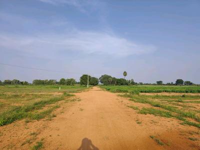 Image of 184 Sq.ft Residential Plot / Land for sale in Alair, Yadadri Bhuvanagiri for Rs. 1800031