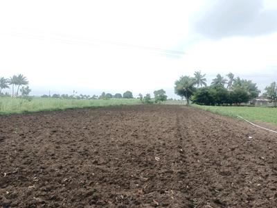 Residential Plot