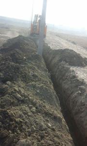 Plot View