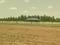 Saravanampatty Plot View 2