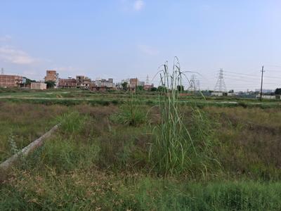 Image of 900 Sq.ft Residential Plot / Land for sale in Knowledge Park 2, Greater Noida for Rs. 3800000