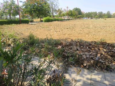 Image of 1395 Sq.ft Residential Plot / Land for sale in Reliance Met City, Yakubpur, Jhajjar for Rs. 15810000