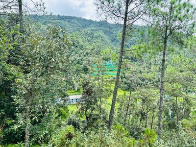 Image of 2700 Sq.ft Residential Plot / Land for sale in Mukteshwar, Nainital for Rs. 3750000