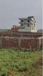 Nohsa Plot View 1