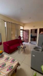 Bedroom Image of 500 Sq.ft 1 BHK Apartment / Flat for rent in Sector 63 Mohali for Rs. 25000