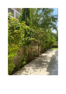 Image of 3987 Sq.ft 4 BHK Villa for sale in Ambli, Ahmedabad for Rs. 100000000