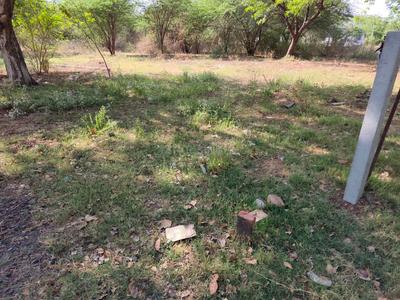 Shilaj Plot View 2