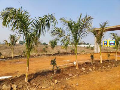 Residential Plot