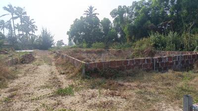 Image of 93108 Sq.ft 4 BHK Farm House for sale in Morjim, Goa for Rs. 1100000000