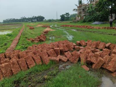 Residential Plot