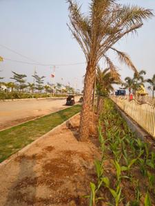 Riyasat Montera Plot View 1