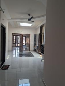 Hall Image of 2000 Sq.ft 3 BHK Builder Floor for rent in Gandhi Colony Muzaffarnagar for Rs. 20000