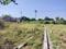 Image of 900 Sq.ft Residential Plot / Land for sale in Dera Mandi, New Delhi for Rs. 1600000