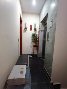 Image of 900 Sq.ft 2 BHK Builder Floor for rent in Tilak Nagar, New Delhi for Rs. 38000