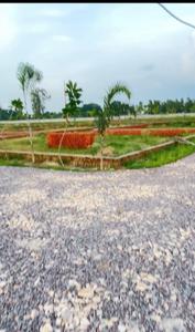 Image of 1000 Sq.ft Residential Plot / Land for sale in Gosainganj, Lucknow for Rs. 1600000