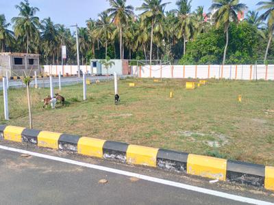 Residential Plot