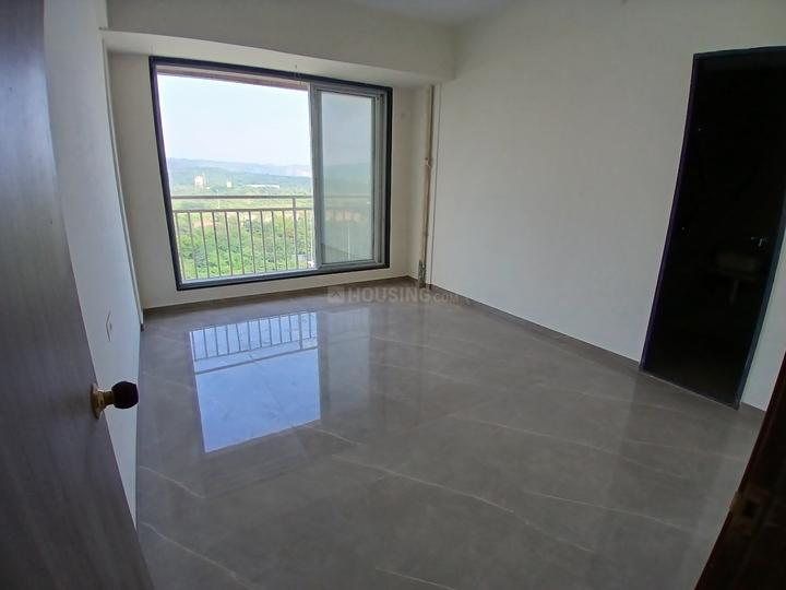 Gami Asters Main Image 1