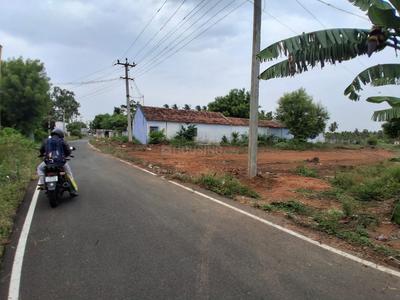 Kokkarayanpettai Road Plot View 2