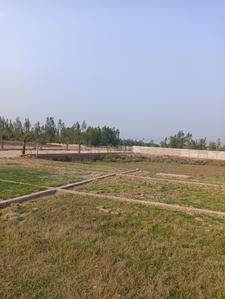 Amethi Plot View 2
