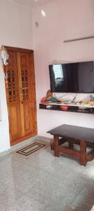 Hall Image of 800 Sq.ft 1 BHK Builder Floor for rent in Navule Shivamogga for Rs. 14000