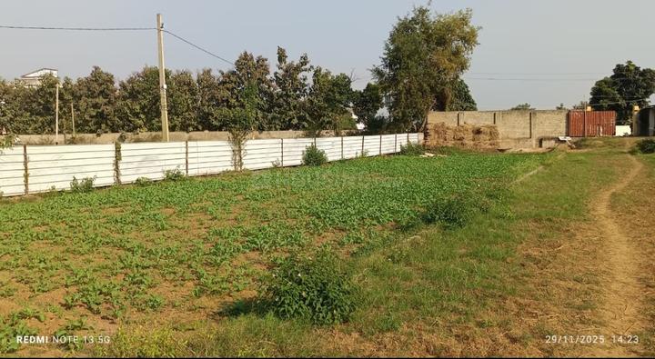 SAI VATIKA BIHTA PATNA Plot View 1