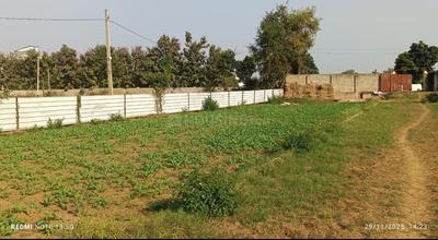 SAI VATIKA BIHTA PATNA Plot View 2