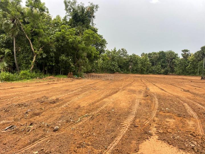 Kottavalasa  Main Image 1