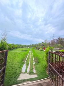 Biharigarh Plot View 2