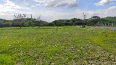 Image of 1650 Sq.ft Residential Plot / Land for sale in Tata Nagar, Tirupathi for Rs. 1299999
