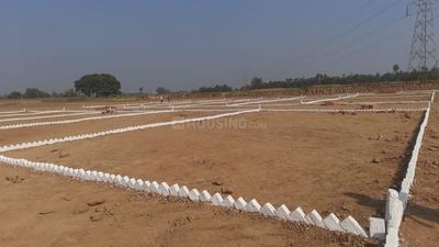 Bihta Plot View 1