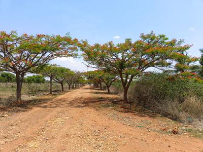 Image of 1530 Sq.ft Residential Plot / Land for sale in Hoskote, Bengaluru for Rs. 3672000