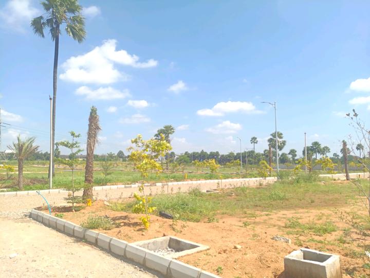 SGD Elite Main Image 1