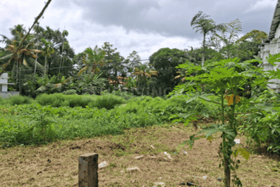 Image of 19491 Sq.ft Residential Plot / Land for sale in Irinjalakuda, Thrissur for Rs. 30000000