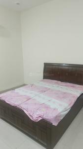 Bedroom Image of 1500 Sq.ft 1 RK Builder Floor for rent in Sector 89 Mohali for Rs. 14000