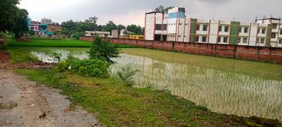 Image of 1360 Sq.ft Residential Plot / Land for sale in Narayanpur, Mirzapur for Rs. 2310000