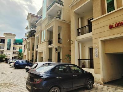Image of 918 Sq.ft 2 BHK Apartment / Flat for rent in SBP City of Dreams 1, Sector 116, Mohali for Rs. 24500