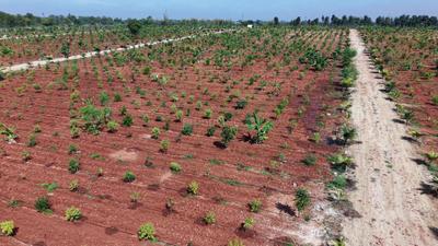 Residential Plot