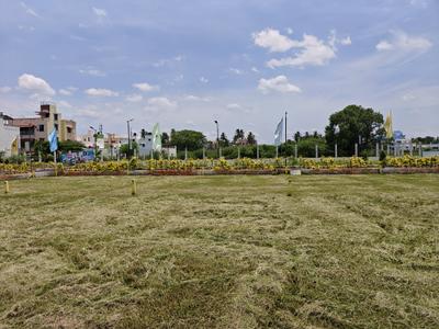 Residential Plot