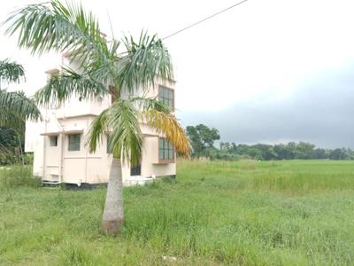 Image of 1440 Sq.ft Residential Plot / Land for sale in Rasapunja, Raypur for Rs. 520000