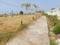 Kanak thakkar shree city phase 3 Plot View 2