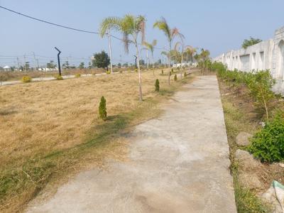 Rewati Plot View 2