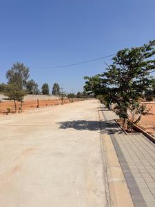 Residential Plot